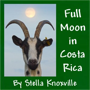 Full Moon in Costa Rica